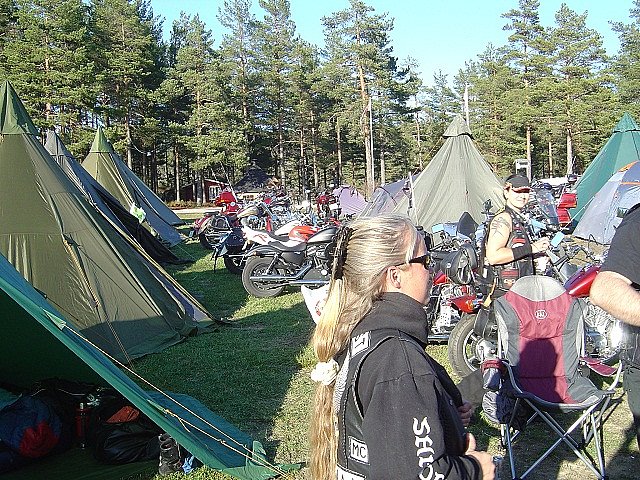Evjetreff 2011